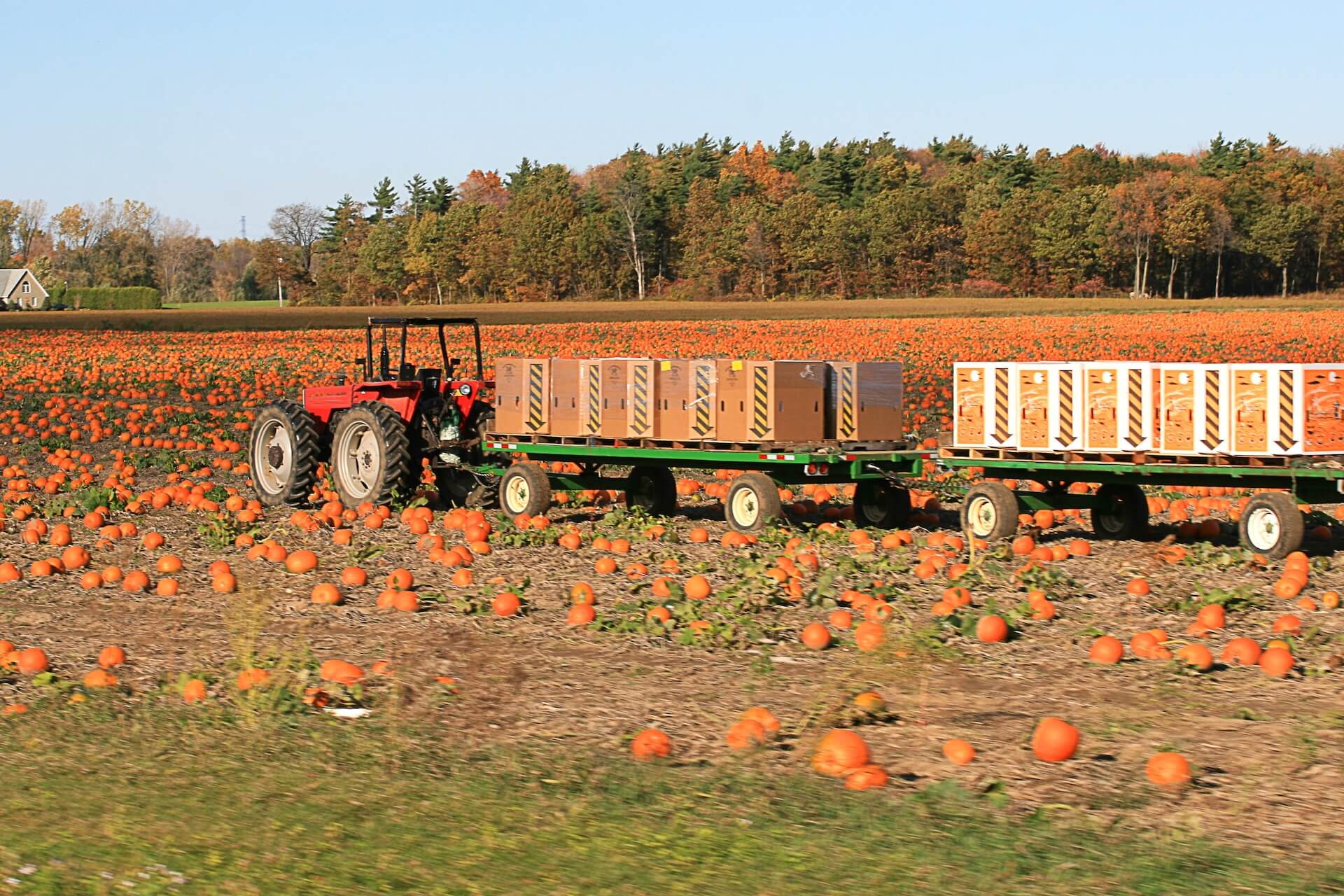 Fall 2025 Equipment leasing outlook