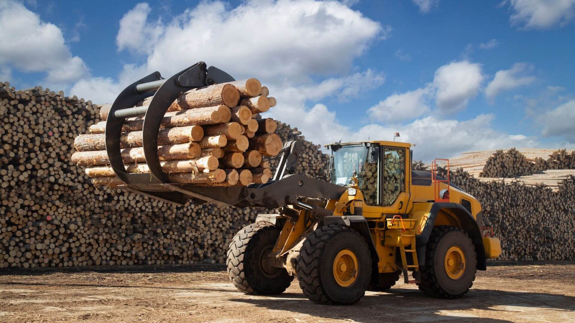Heavy equipment loading logs